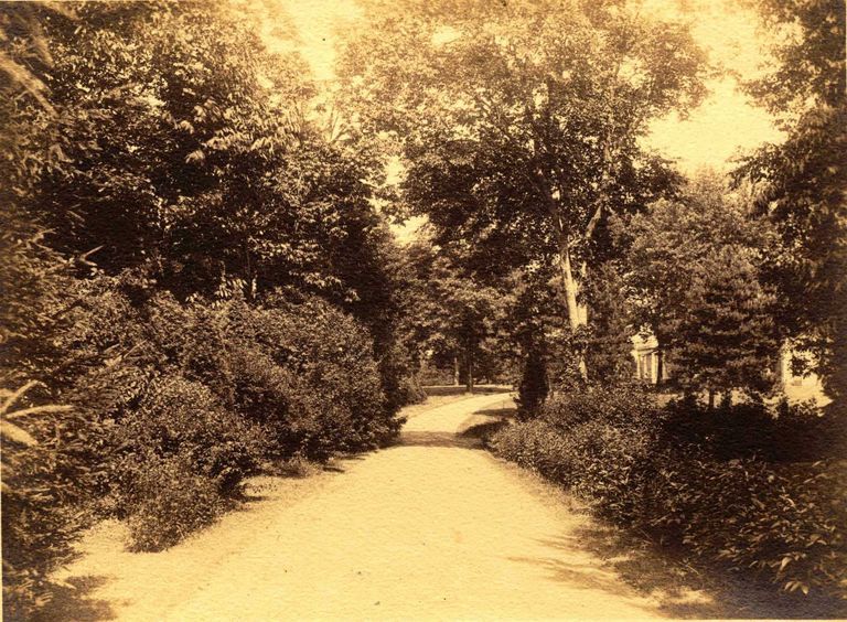          Hartshorn Album 3: Dirt Road Leading to House picture number 1
   