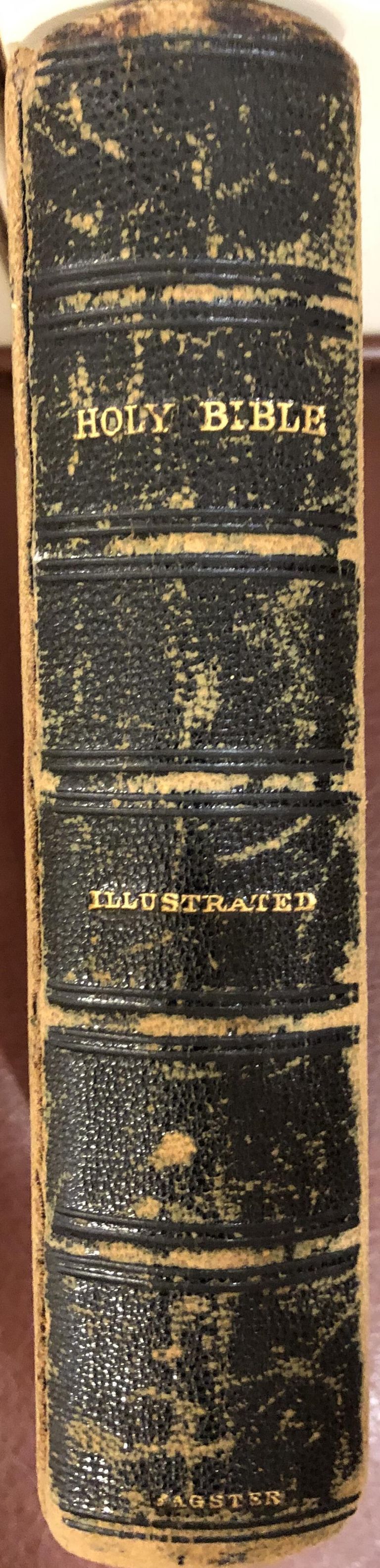          Bible Given to Carrie Bodwell from St. Stephens Sunday School, 1880 picture number 1
   