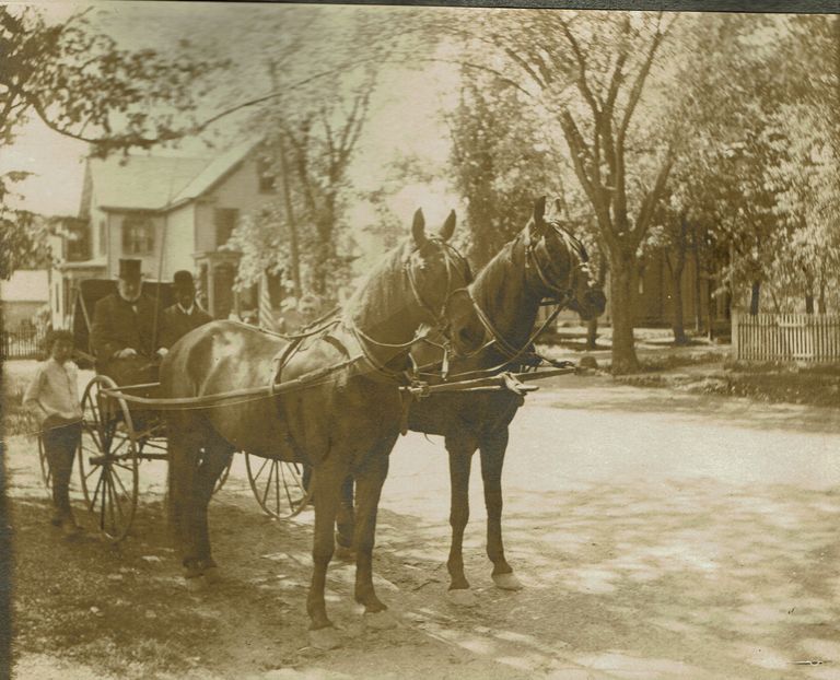          Marshall-Schmidt Album: Two Men Seated in Horse Drawn Wagon, House in Background picture number 1
   