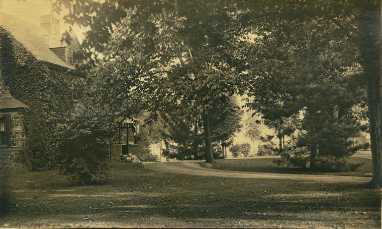          Hartshorn Album 3: Ivy Covered House as Seen From the Side picture number 1
   
