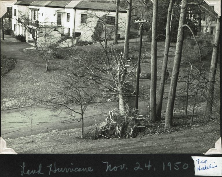          Hurricane: Aftermath, November 24, 1950 picture number 1
   