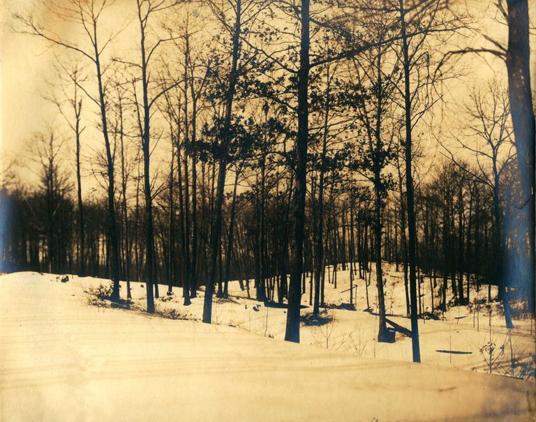          Hartshorn Photo Album Short Hills: Trees and Snow picture number 1
   