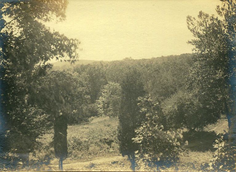          Hartshorn Album 3: Landscape from Short Hills picture number 1
   