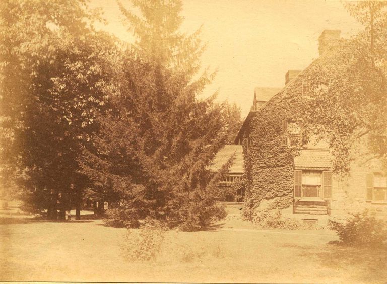          Hartshorn Album 3: Hartshorn House with Ivy and Trees picture number 1
   