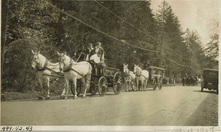          Parade: May 1917, Two Women with Male Driver in Horse-Drawn Cart picture number 1
   