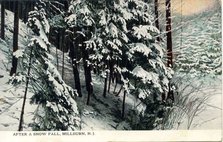          After a Snow Fall, Millburn, N.J., c. 1908 picture number 1
   