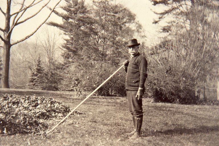          Hartshorn: Raking Leaves picture number 1
   