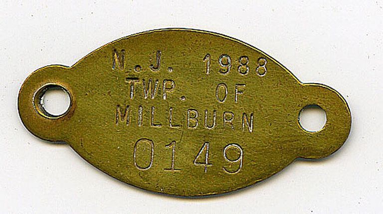          Millburn Township Dog Tag, 1988 picture number 1
   