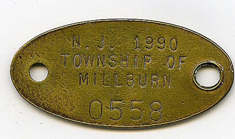          Millburn Township Dog Tag, 1990 picture number 1
   