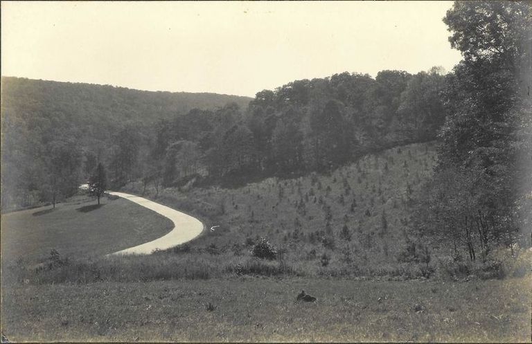          Hartshorn: Cora Hartshorn Photograph of a Road in South Mountain Reservation picture number 1
   