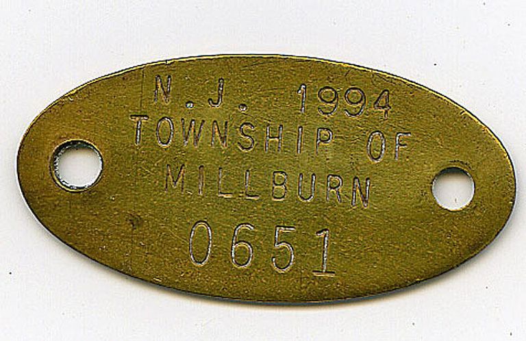          Millburn Township Dog Tag, 1994 picture number 1
   