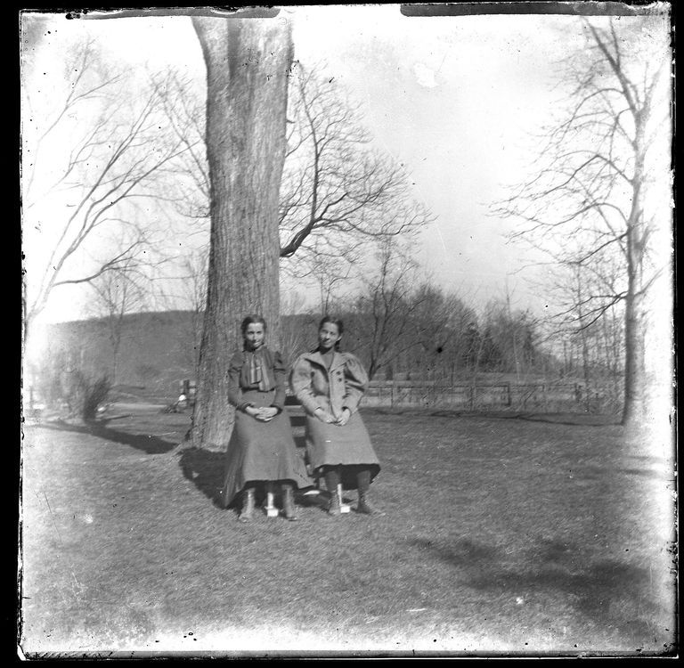          Blood: Two Women Near a Tree on Blood Estate picture number 1
   