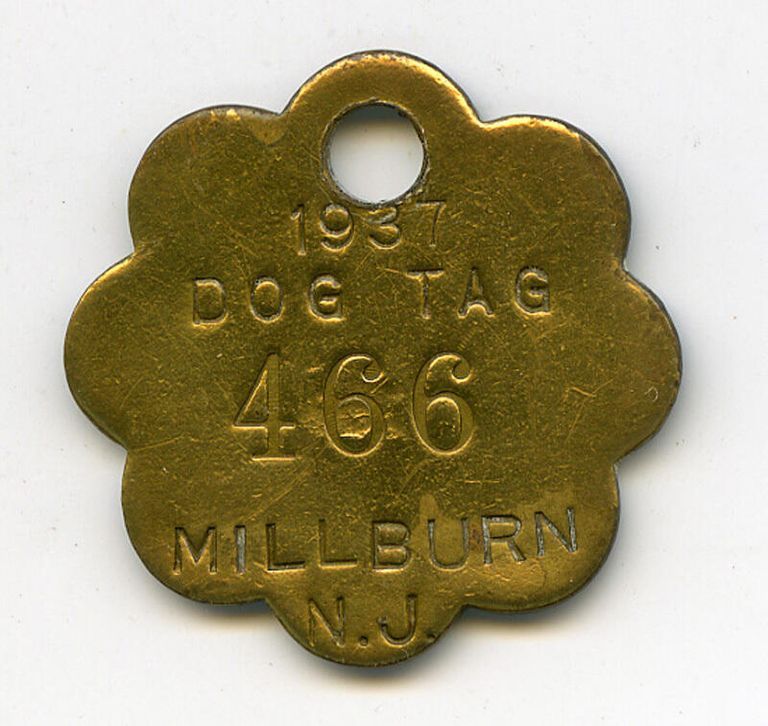          Dog tag #466, Millburn, NJ, 1937 picture number 1
   