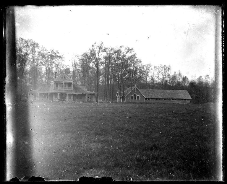          Blood: Blood Estate with Cow picture number 1
   