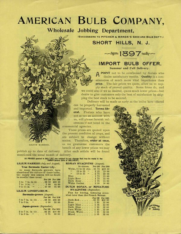          American Bulb Company, Short Hills, 1897 price list picture number 1
   