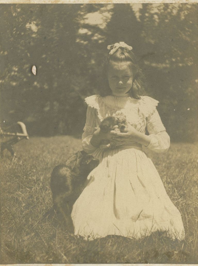          Bosworth: Unidentified Girl Seated Outside with Cat picture number 1
   