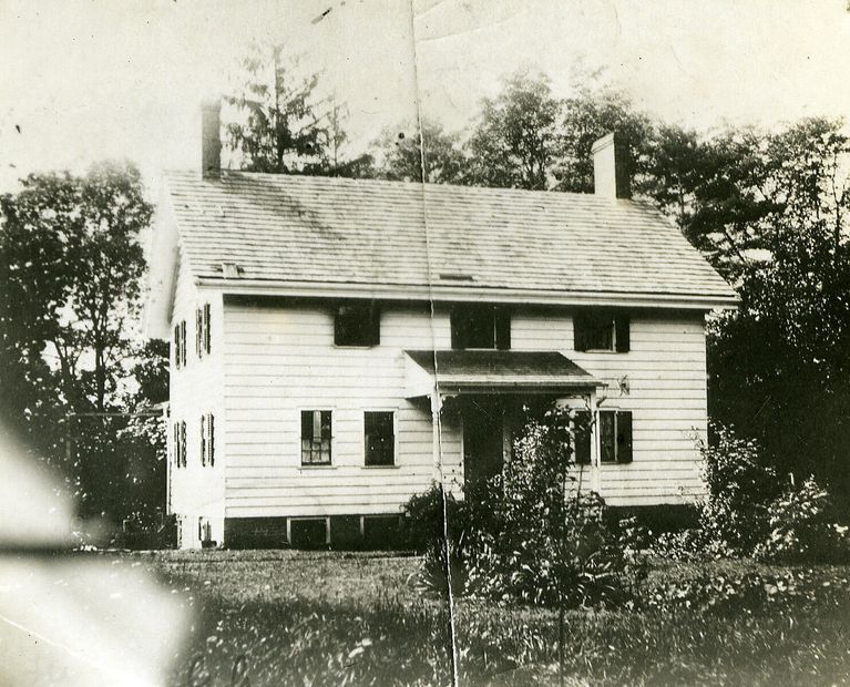          The tops of a group of black walnut trees that stood at the foot of the hill in the front can be seen.; Image Id #115
   