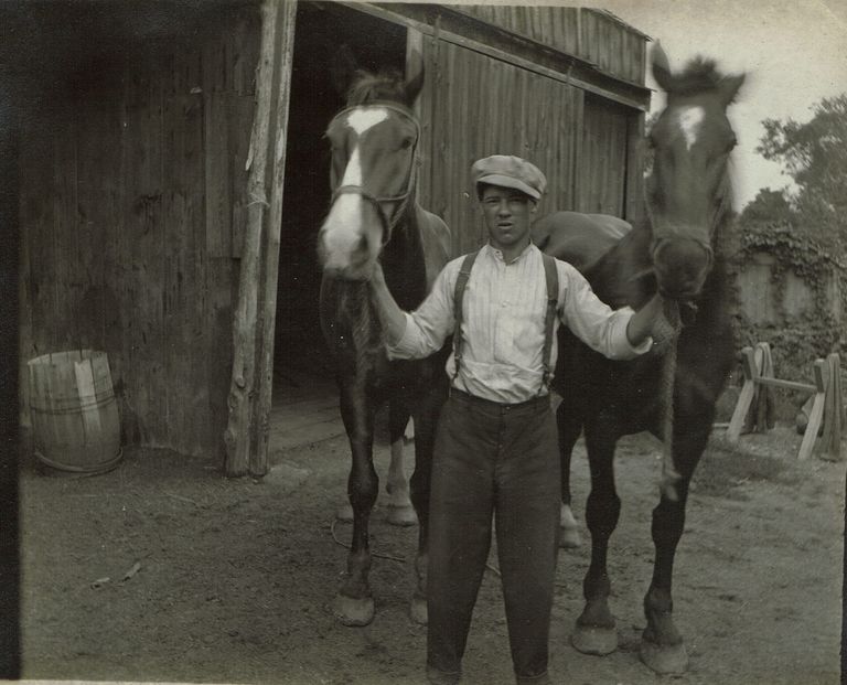          Marshall-Schmidt Album: Man Holding Two Horses By Bridles picture number 1
   