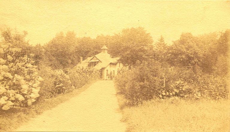          Hartshorn Album 3: House at End of Garden Path picture number 1
   