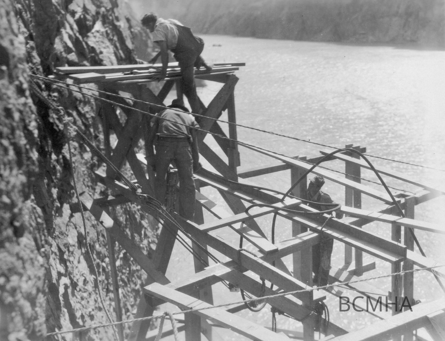 Primary Photo Collection 0008