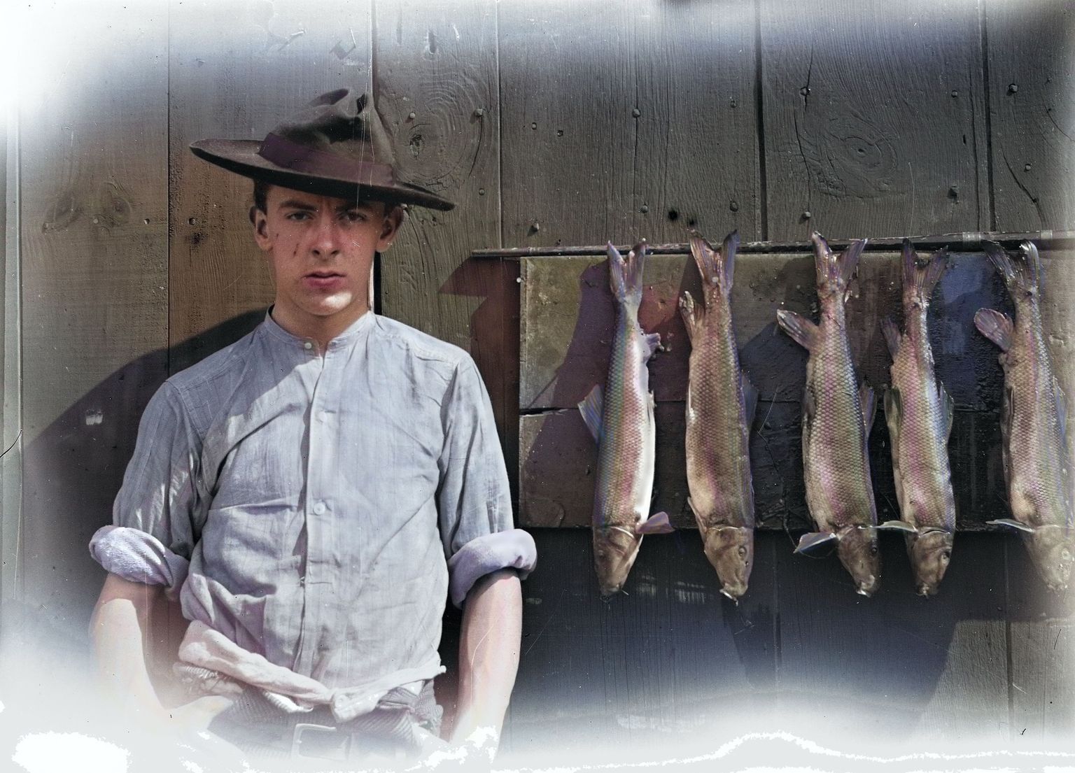 Summer In Harrisville