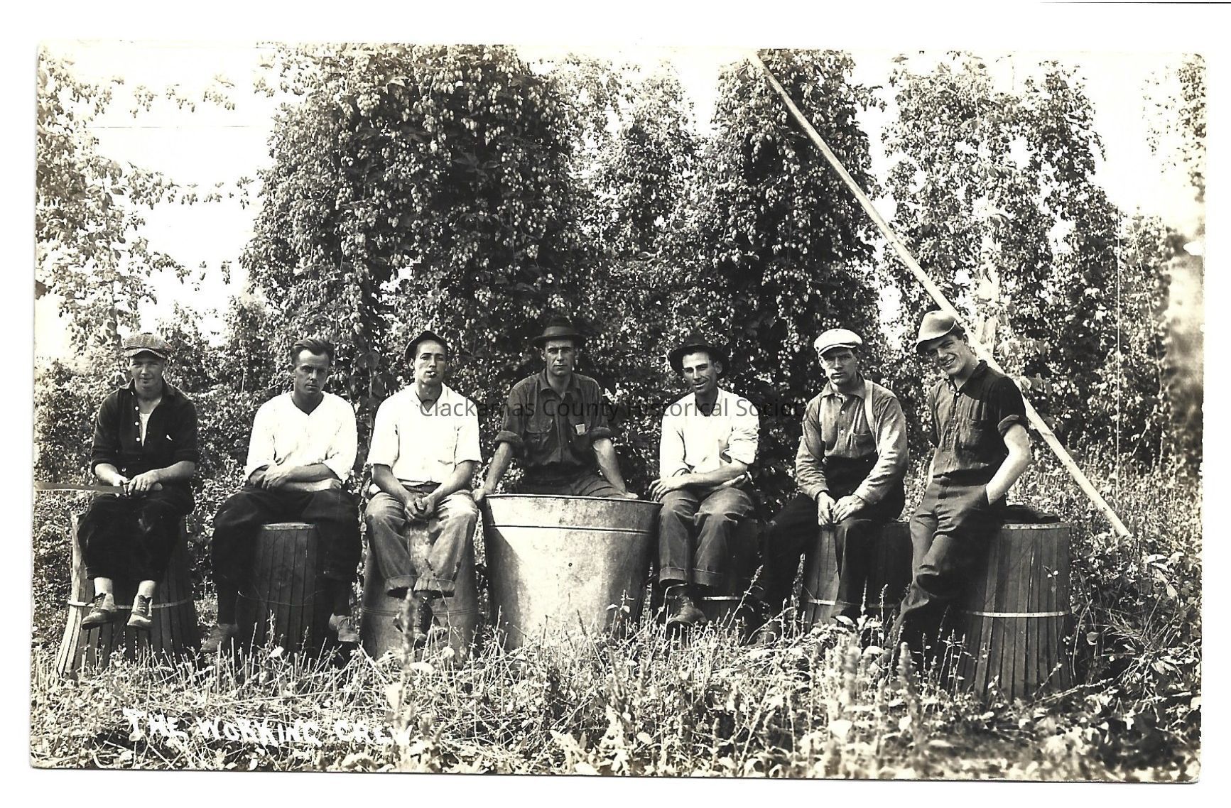 Hop Yard/ Entitled "The Working Crew"