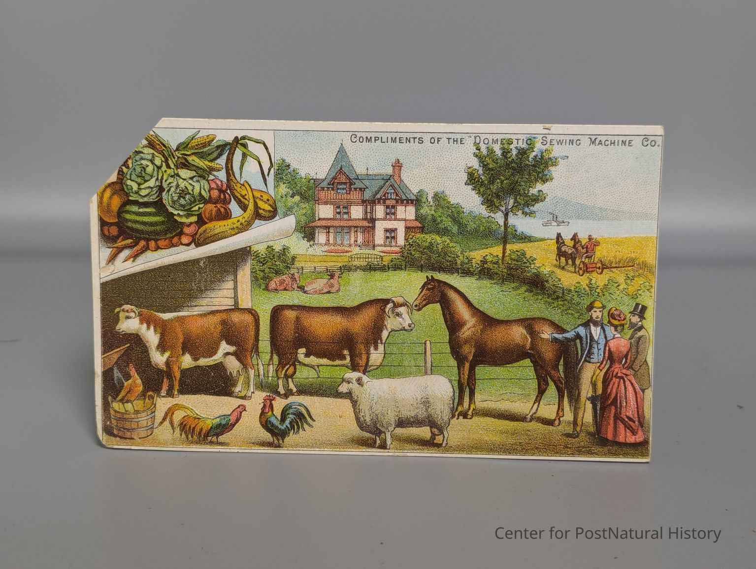 Fun Facts: Natural & PostNatural Collector Cards (1880 - 2009)