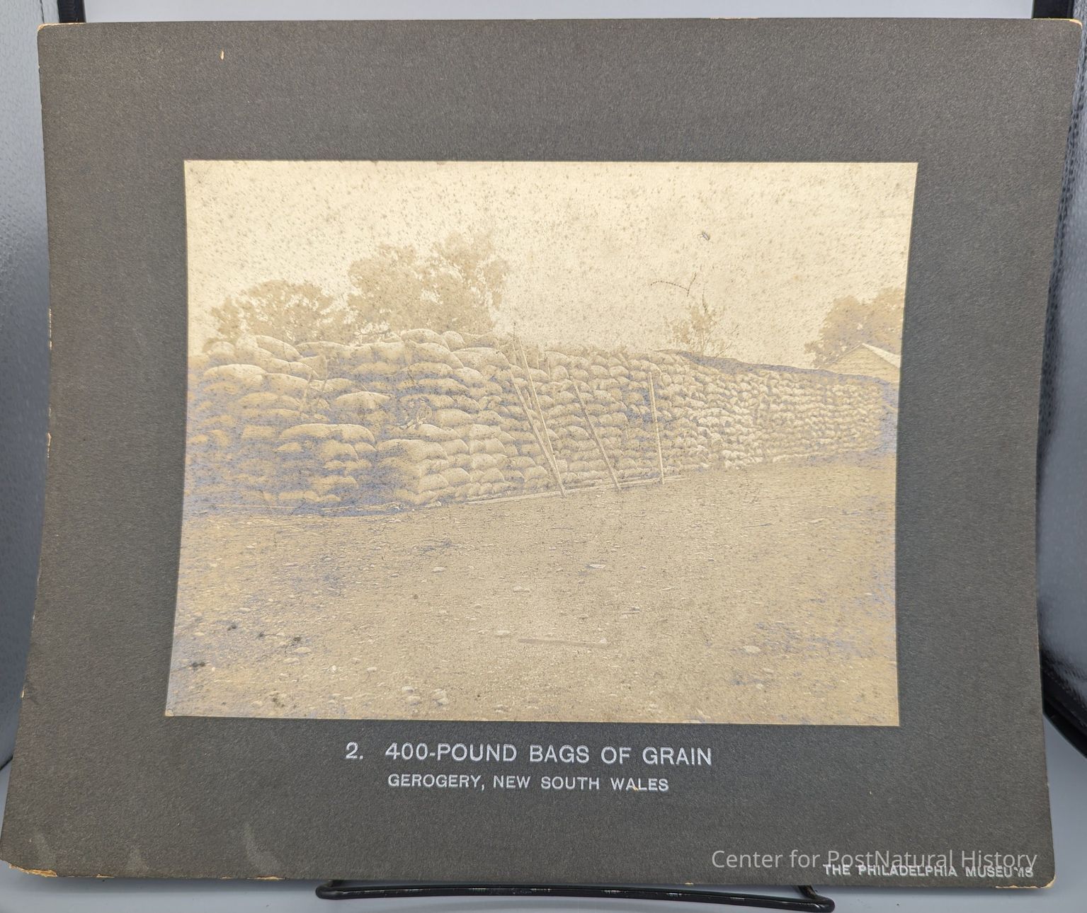 Dawn of the Anthropocene: Artifacts from the Philadelphia Commercial Museum (1893)