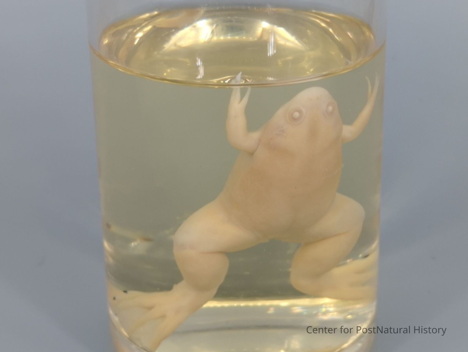 Zoology