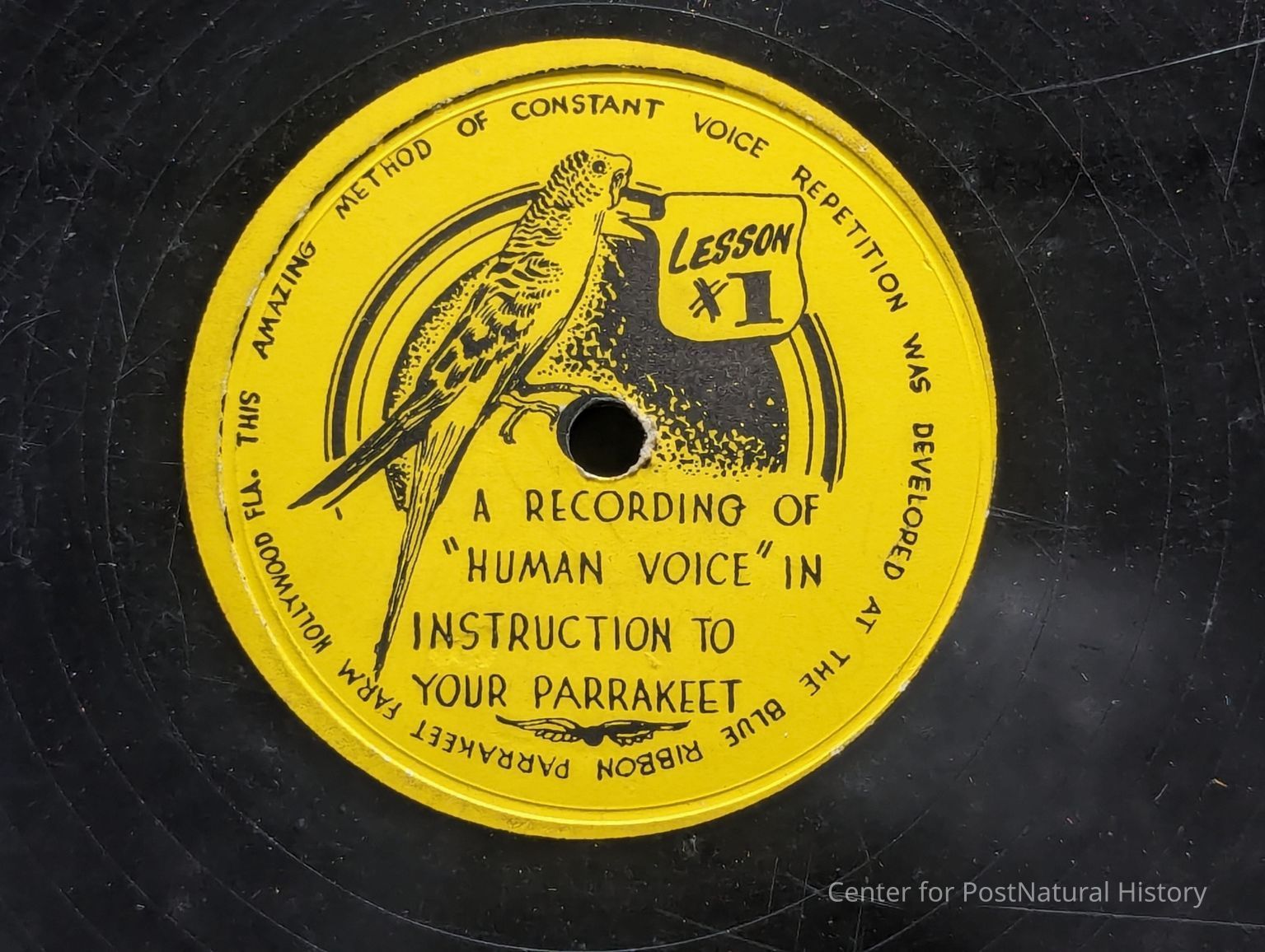 Birdlike & Wingless: Commercially Sold Bird-Human Audio Recordings (1905 - 1942)