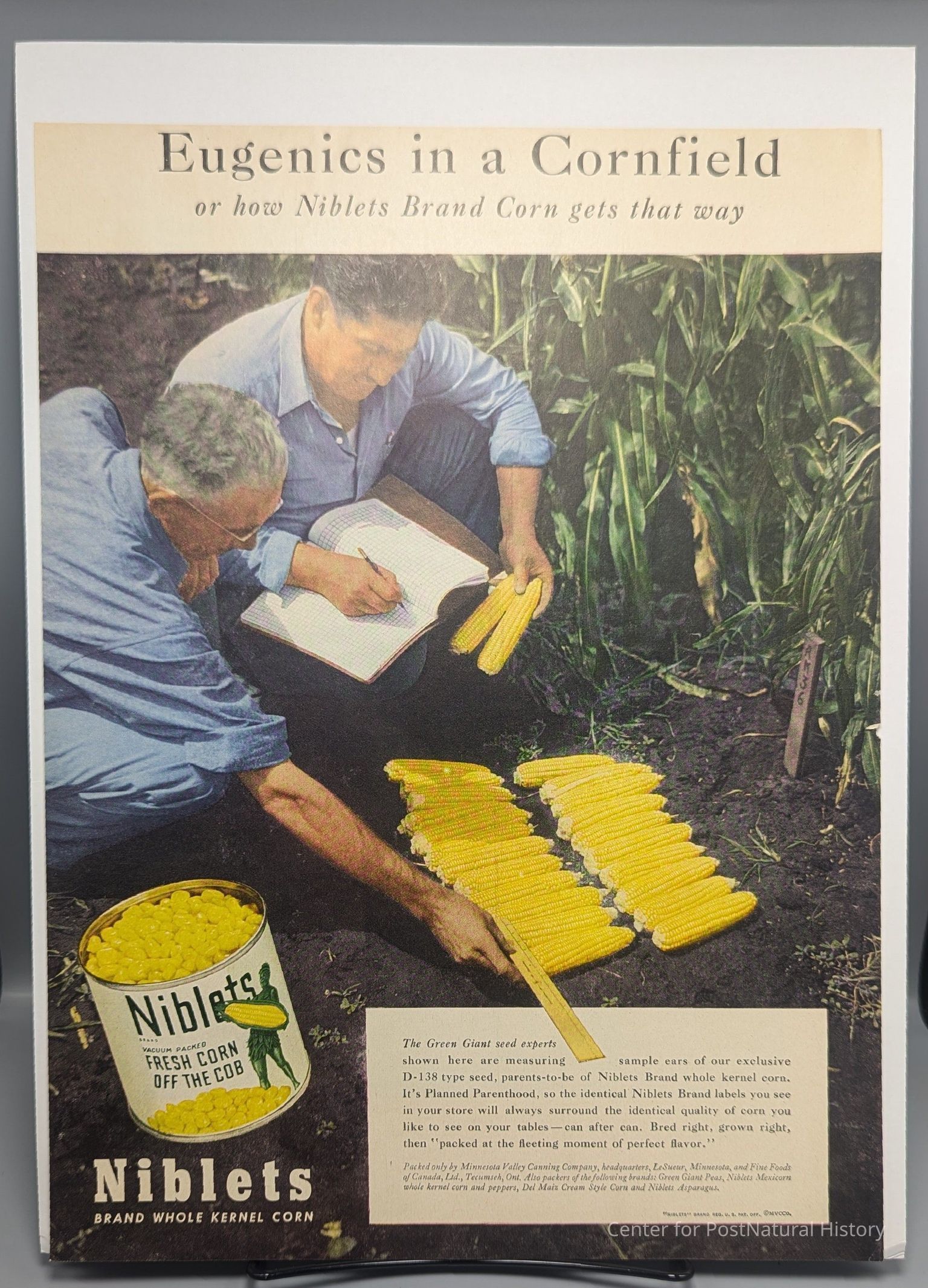 Collateral Descendants: The American Eugenics Movement (1880 - 1946)