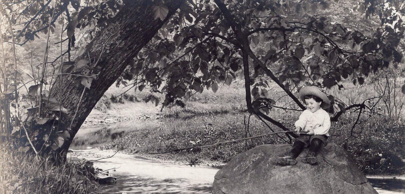 Kinsman Historical Collection hero image