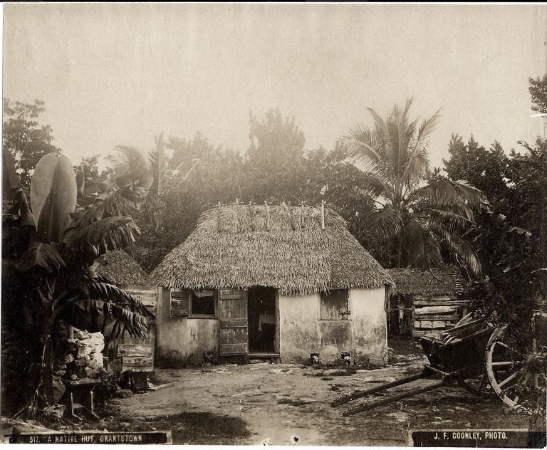 A Native hut, Grantstown (print 517) picture number 1