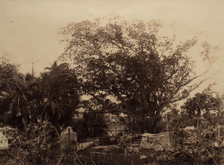 Old Cemetery, Near Nassau (print 368) picture number 1