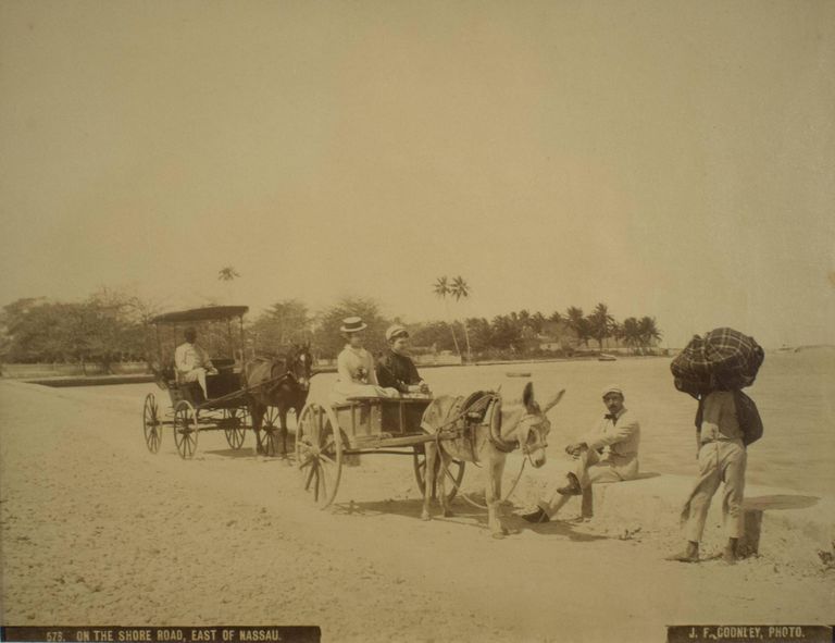 on the shore road, east of nassau (print 576) picture number 1
