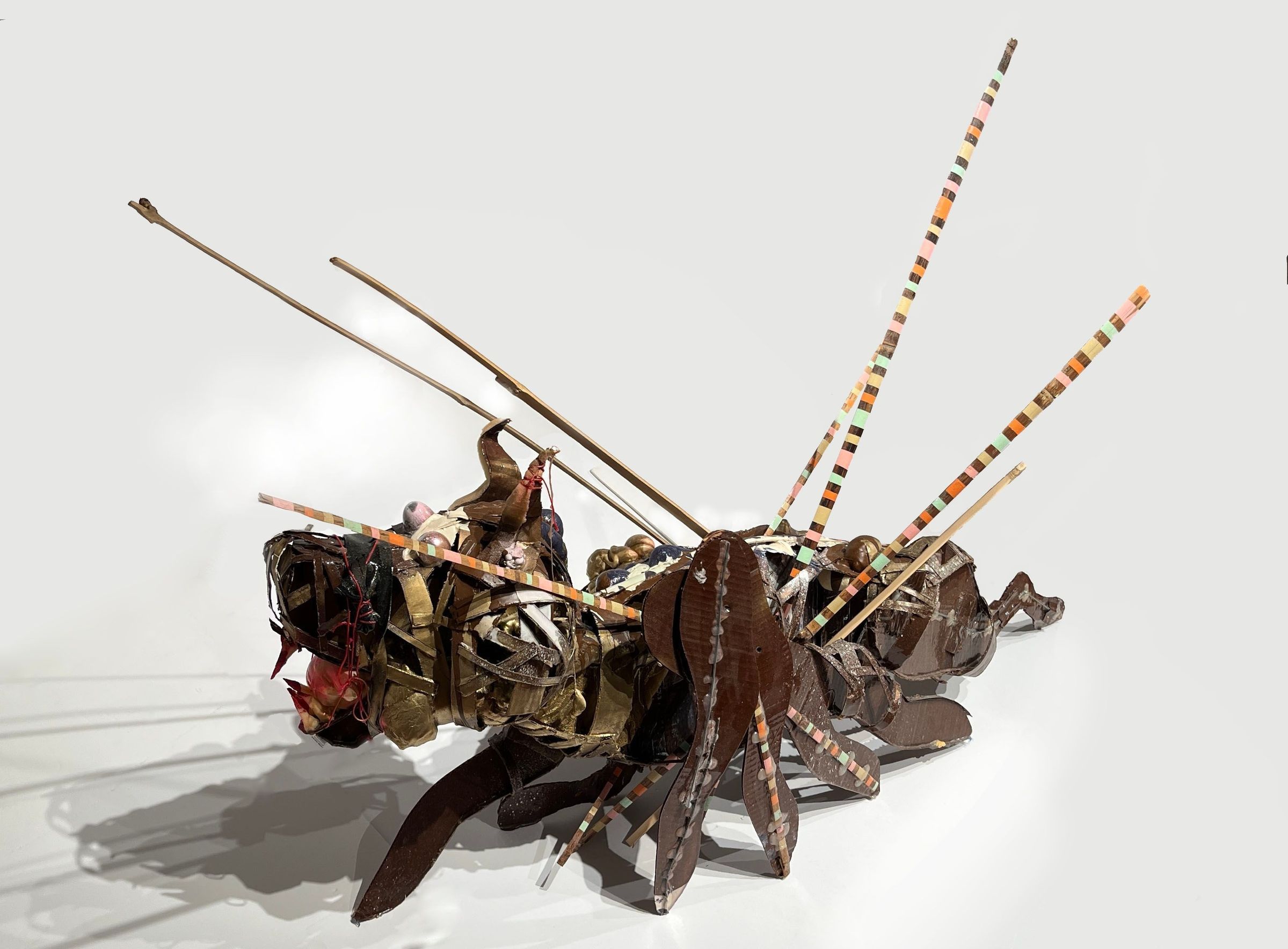 Wounded Dog picture number 1