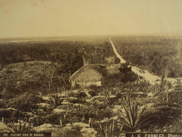 Distant View of Nassau (print429) picture number 1