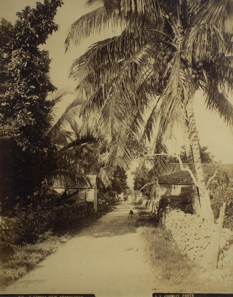 A Street View, Grants town (print 518) picture number 1