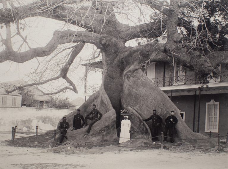 Untitled (silk Cotton Tree w/ 5 men & 1 woman) picture number 1