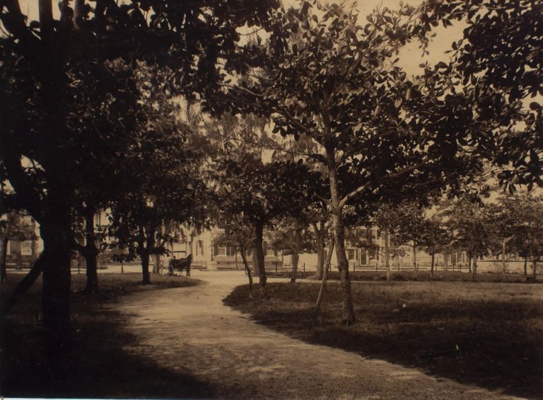 Nassau Park (print 402) picture number 1