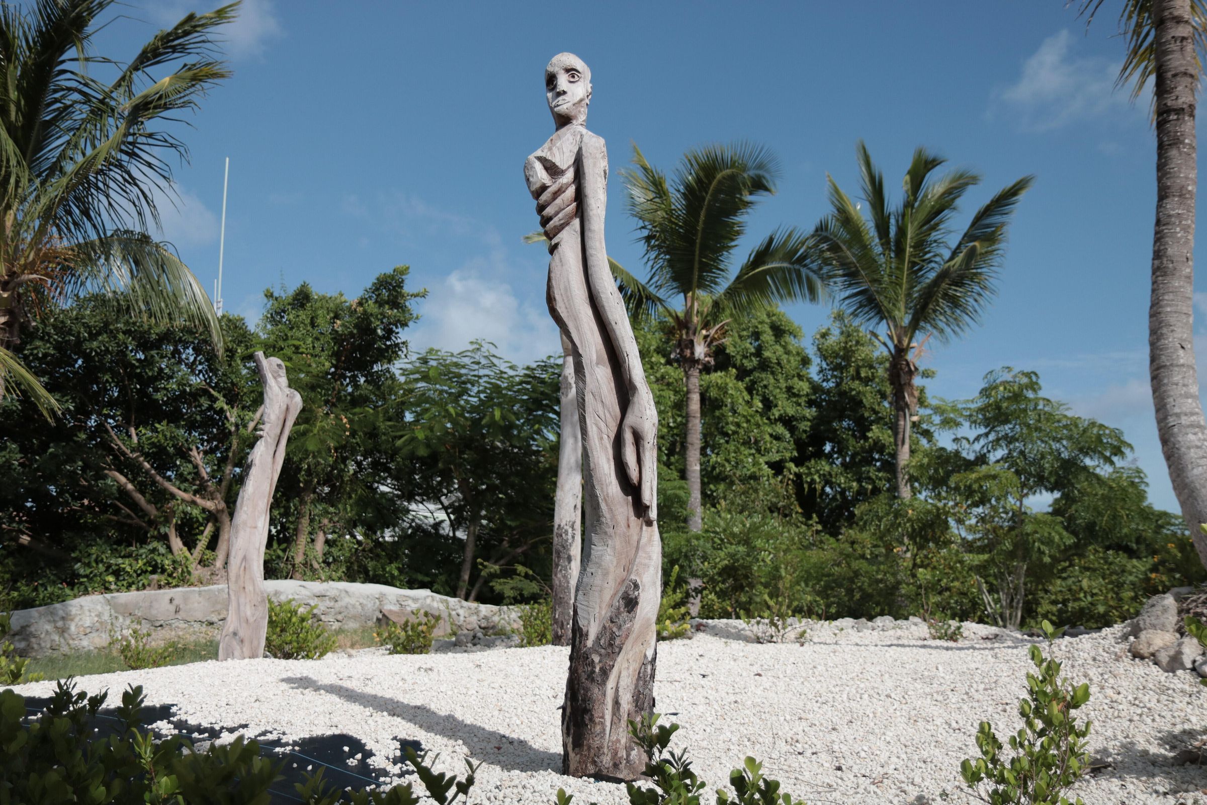 Where We Belong picture number 1