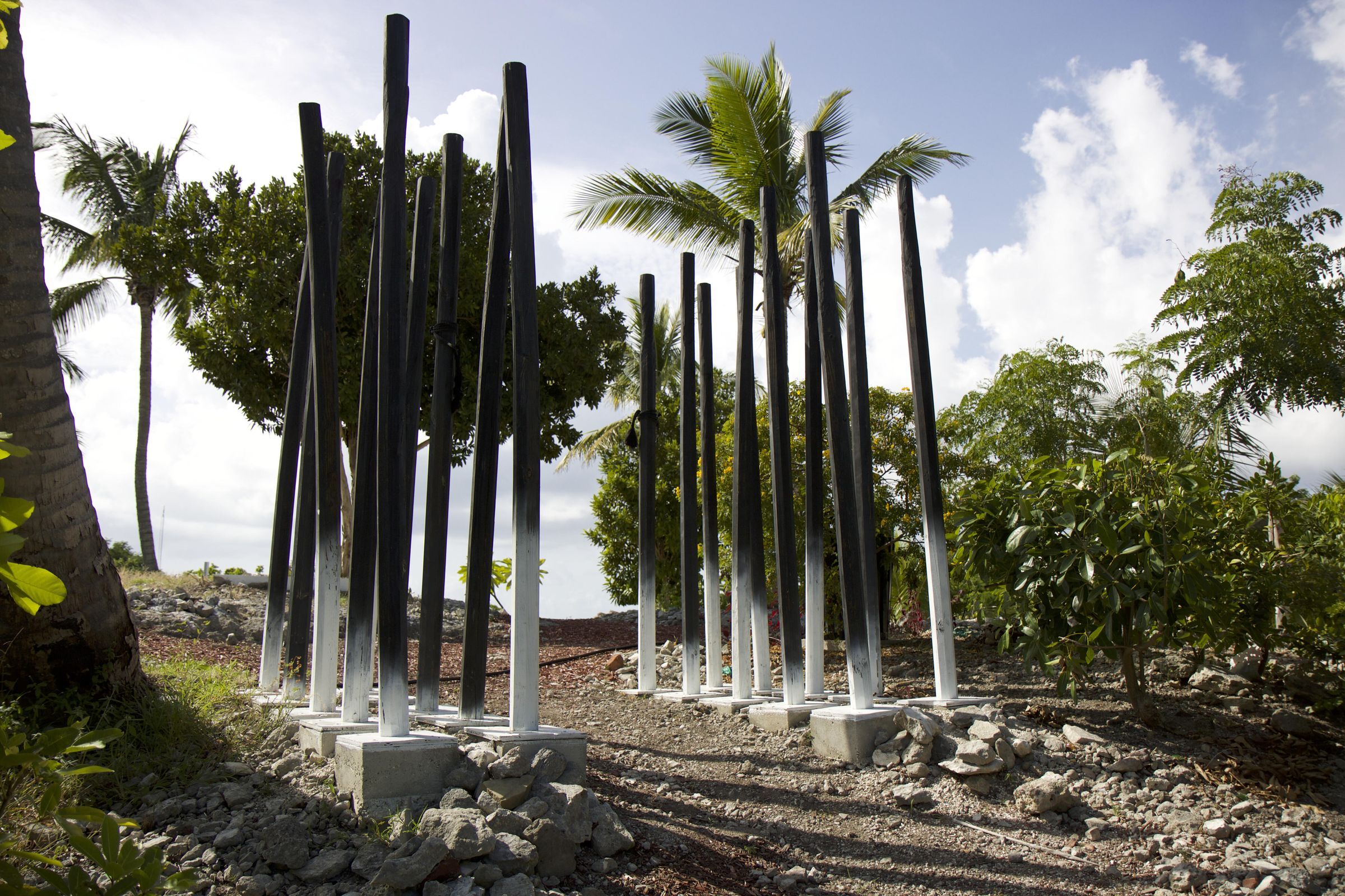 Arena picture number 1