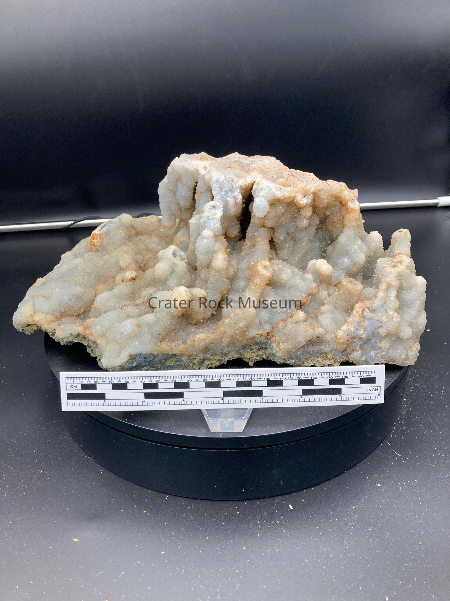 Brian Williams Collection