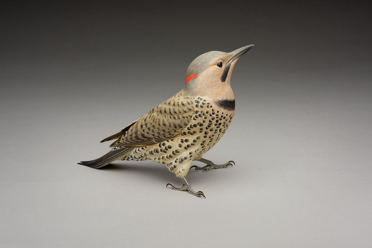 Yellow-shafted Flicker: Wood by Larry Barth, depicting Northern Flicker