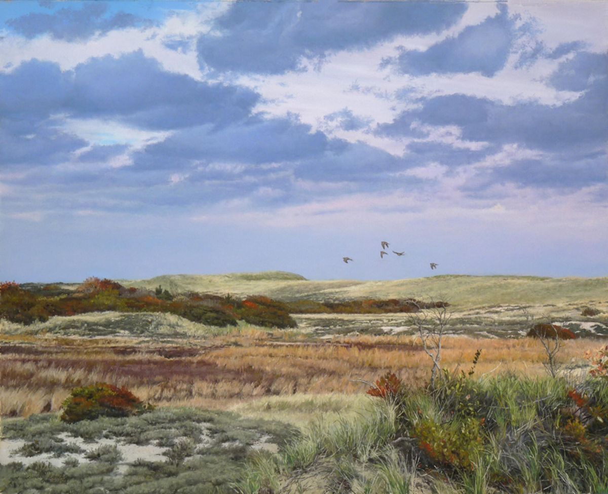 Flight over Dunes in Autumn: Pastel on paper by Cindy House, depicting Mourning doves in flight, Plum Island, Massachusetts