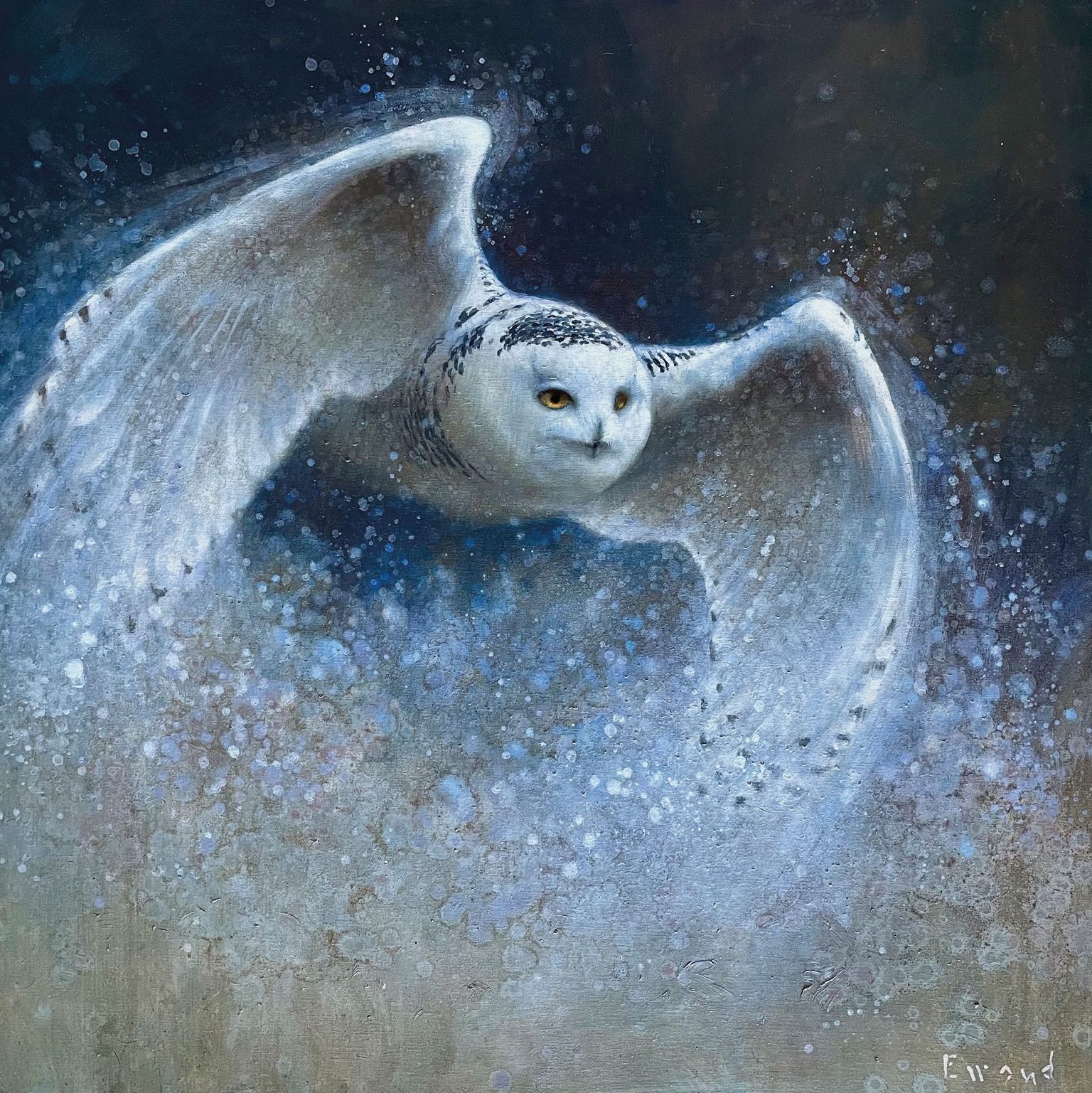 01 Bird Portraits