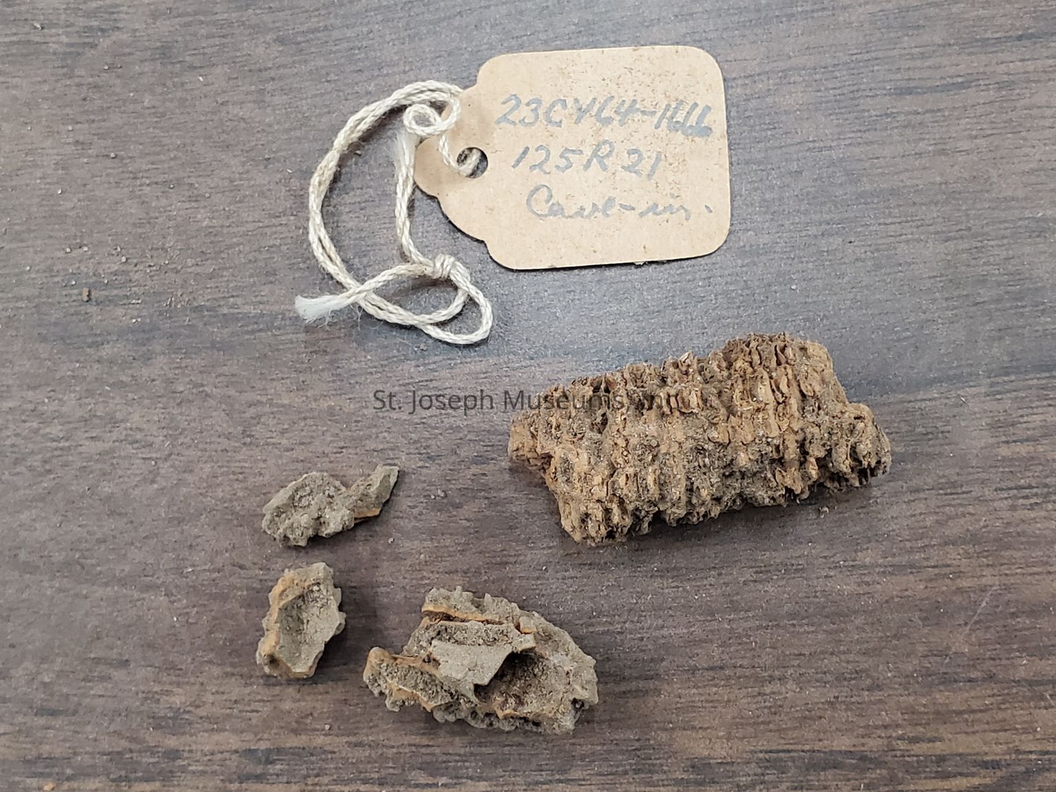 Arnold Research Cave