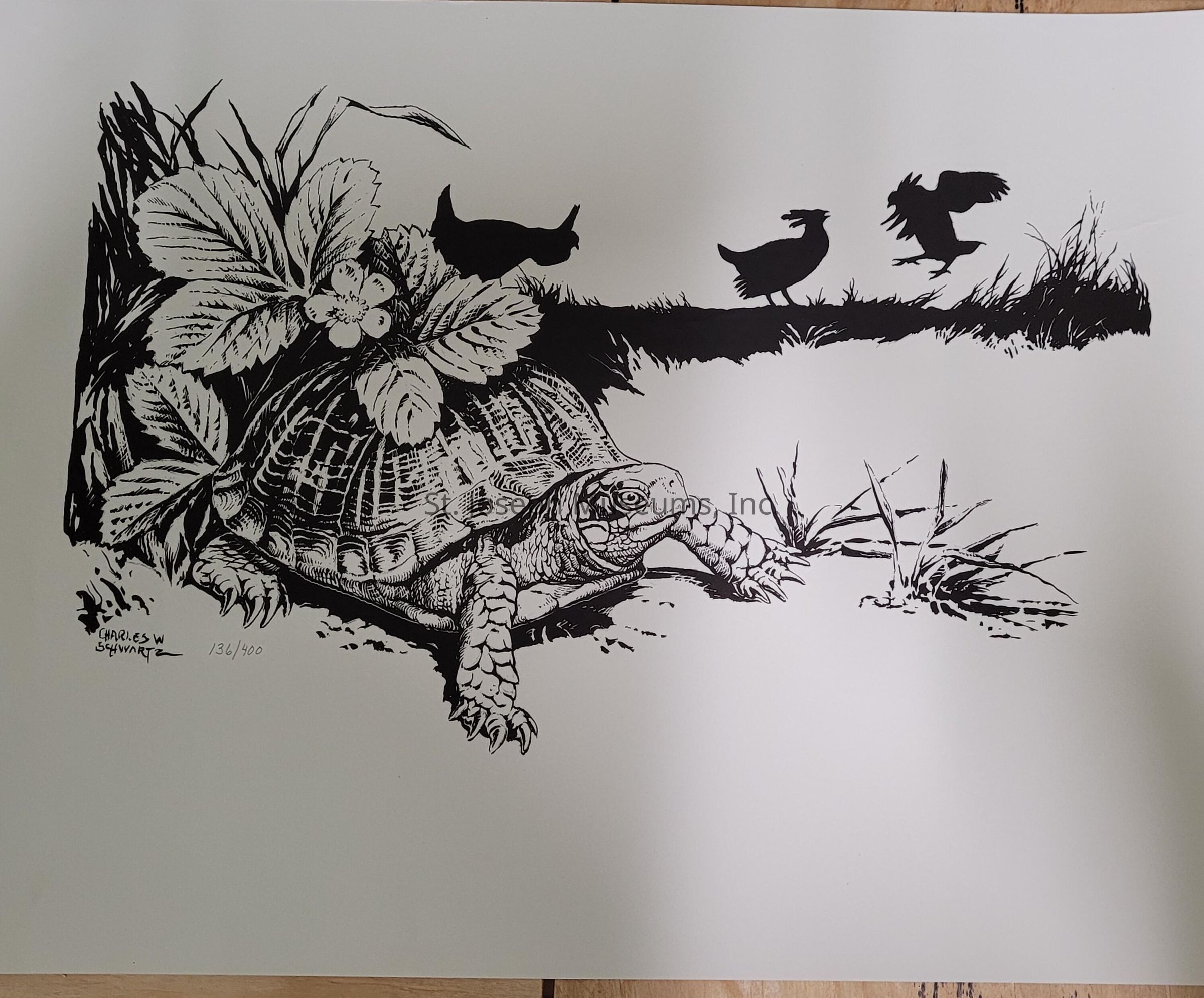 The image is an intricate black and white illustration featuring a detailed depiction of a turtle with a textured shell, nestled among foliage with broad leaves and a blooming flower. In the background, silhouetted against the light, are three birds in various motions, seemingly walking or striding through tall grass. The contrast between the detailed foreground and the shadowy, simplified forms of the birds creates an engaging composition. The artist's name and edition number, "Charles W Schwartz 136/400," are handwritten at the bottom left, indicating this is a limited edition print, which adds both artistic and collectible value to the piece.