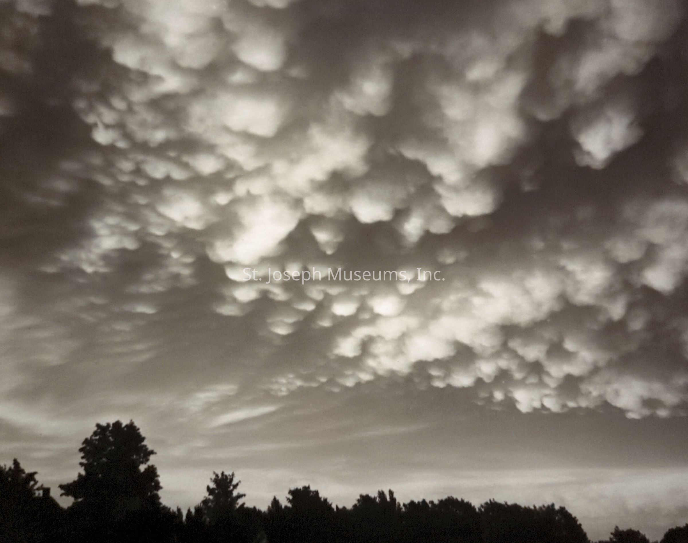 A black-and-white image showcasing a dramatic sky filled with striking mammatus clouds, their distinctive pouch-like formations creating a dynamic and textured appearance across the canvas. Below the swirling mass of clouds, a silhouette of a tree line stretches horizontally, providing a stark contrast to the lighter shades above.