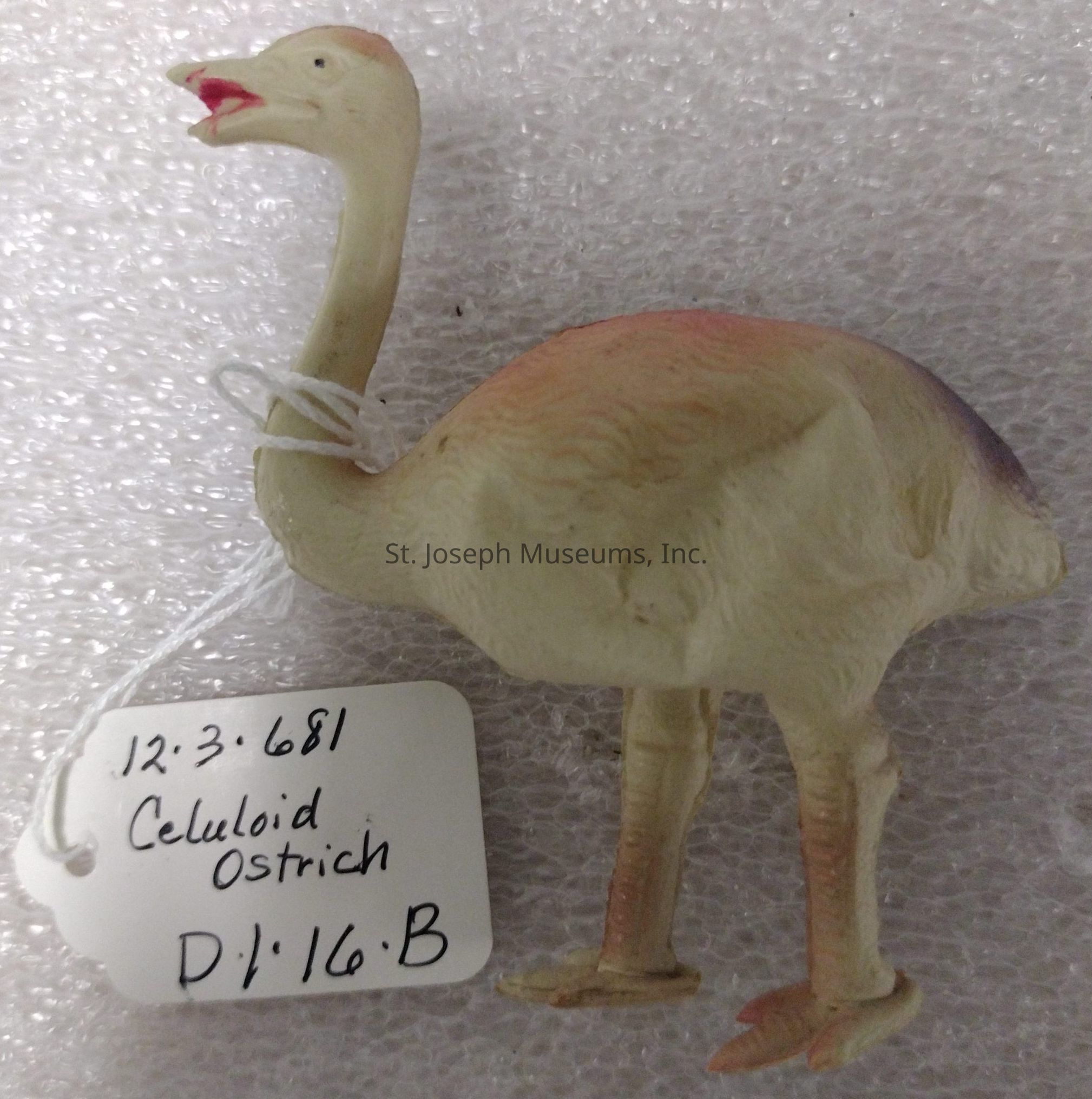The image depicts a small, delicate model of an ostrich made from a material likely to be celluloid, as suggested by the label attached to it. The ostrich figure is set against a backdrop of bubble wrap, emphasizing its fragility and the care taken in its presentation. The model is crafted with attention to detail, showcasing features such as a long neck, small wings, and legs with distinct toes. Its body has a gradient of colors, transitioning from a light shade on the neck and legs to a slightly darker tone on its back and tail. A handwritten tag accompanies the ostrich, tied around its neck with a string, and reads "12.3.681 Celuloid Ostrich D1/16.B," indicating cataloging details, possibly related to a collection or inventory system, and suggesting its vintage or collectible nature.